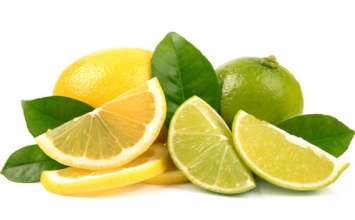 Giúp gan hoạt động hiệu quả